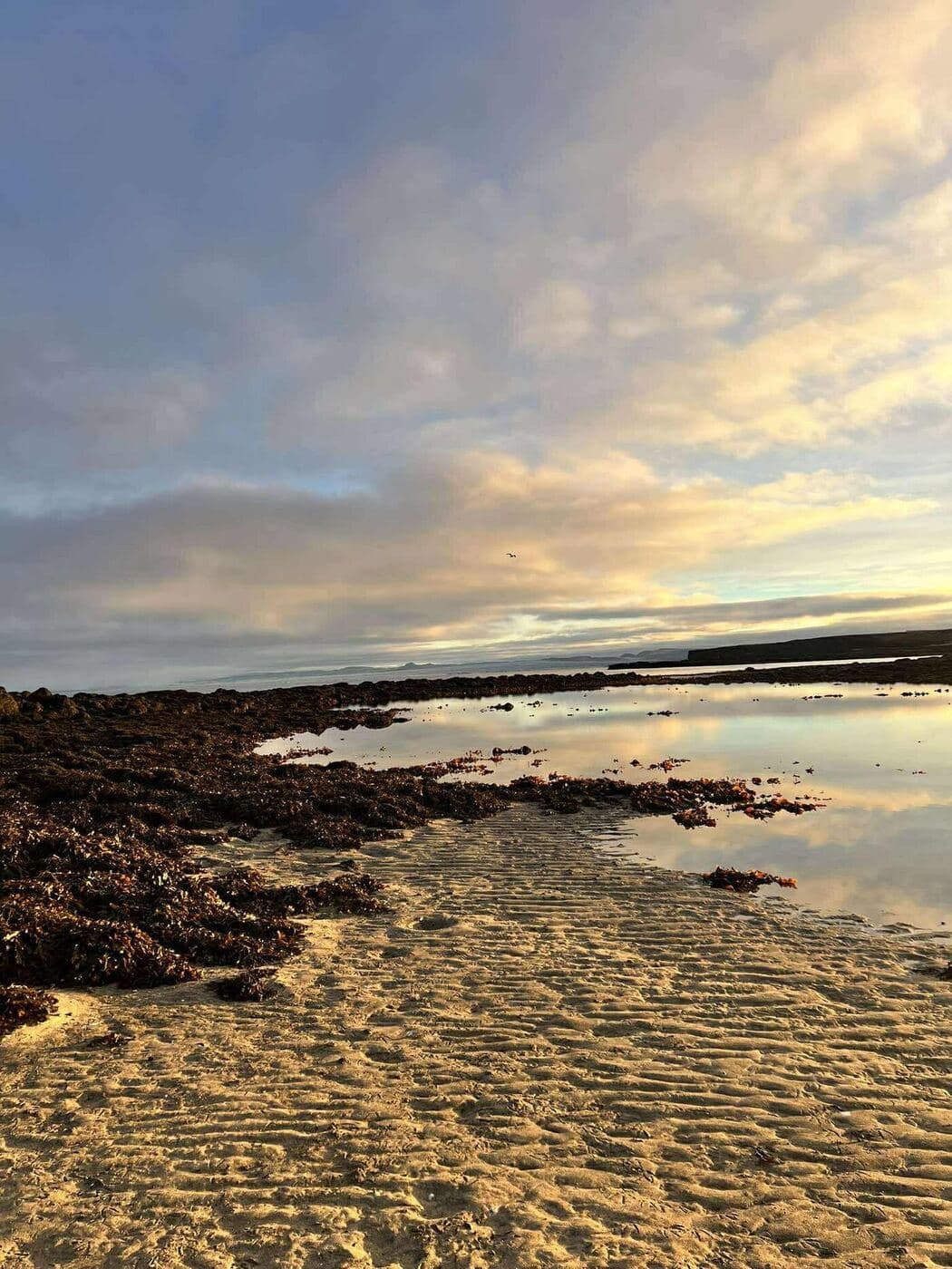 Hólmur Heilsa