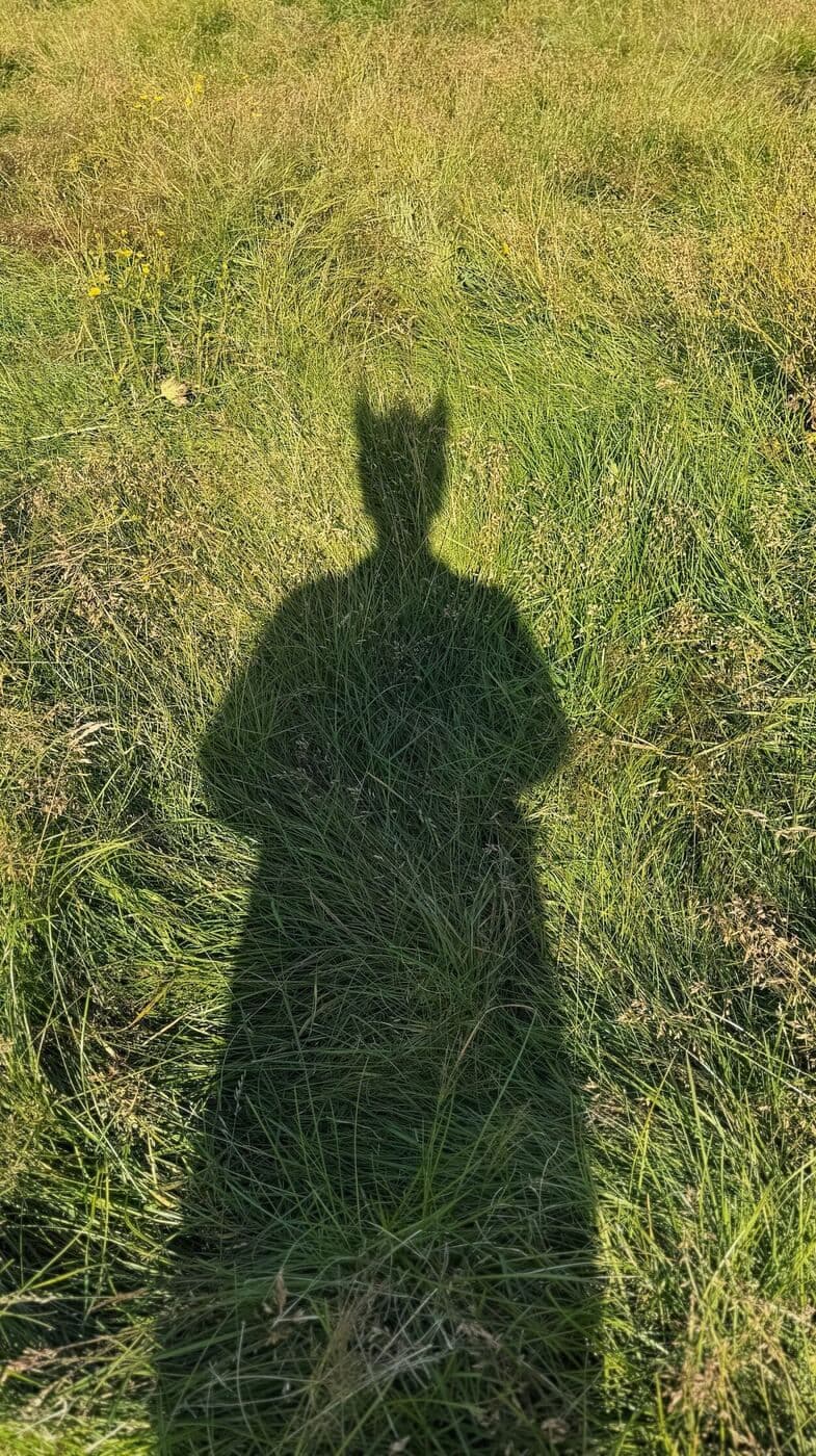 Skuggi gests með saunahatt í grasinu